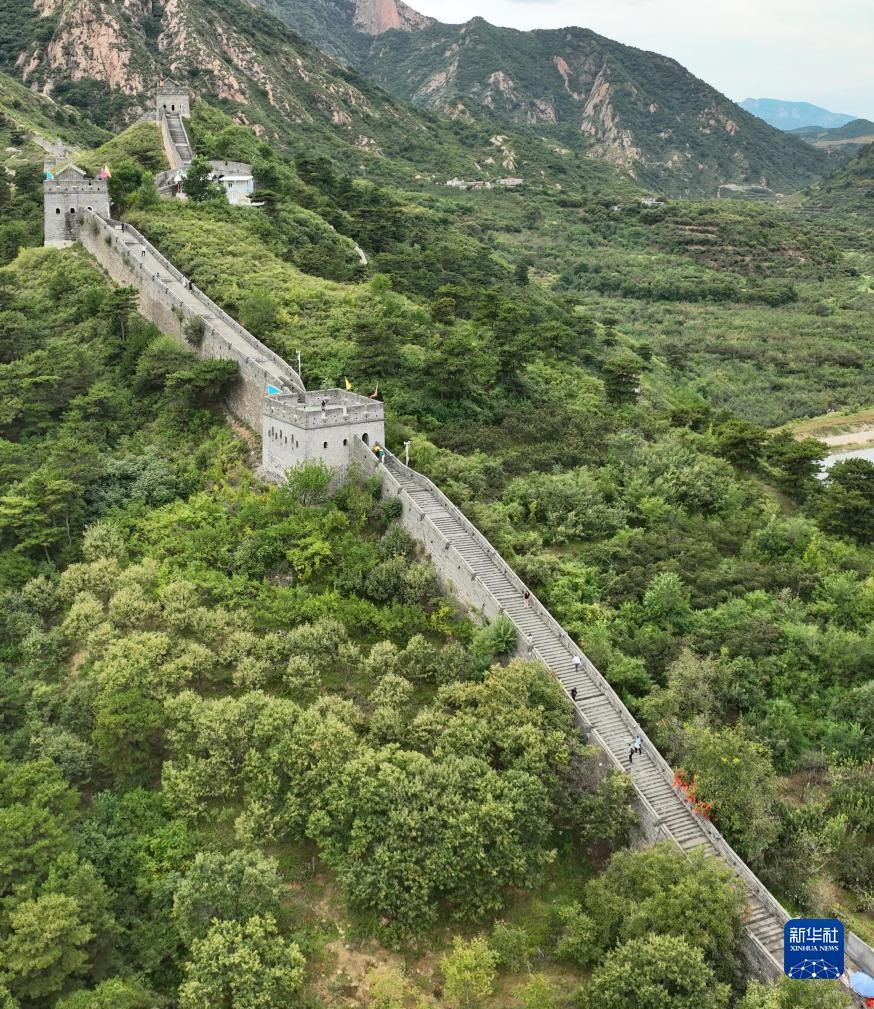 捕鱼大师官网